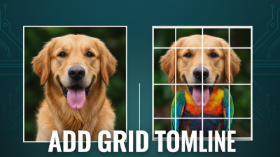 Free Image Grid Overlay Tool